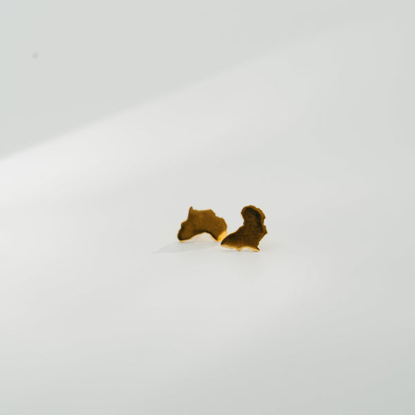 A pair of small gold-toned stud earrings shaped like Africa, photographed on a plain white background.