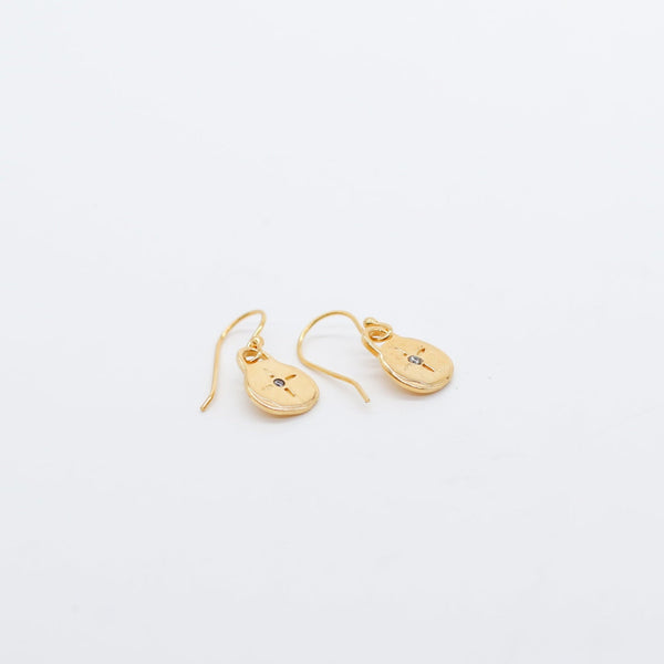 Pendant hook earrings