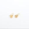 Pendant hook earrings