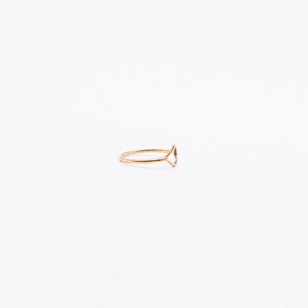 Hollow diamond ring