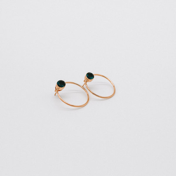 Circle stone earrings