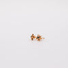 Star Stone Studs