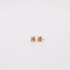 Star Stone Studs
