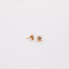 Star Stone Studs